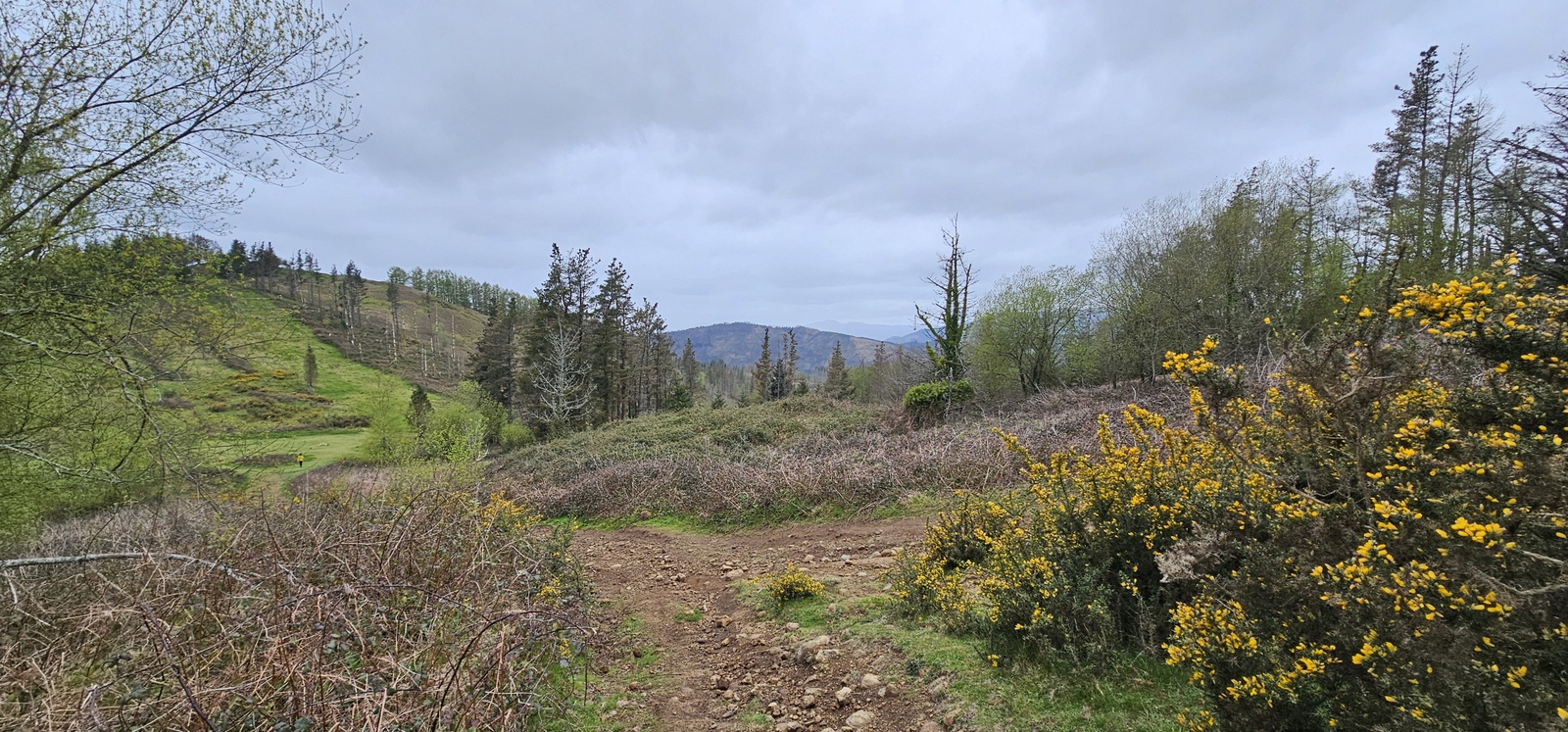 Eibarko sozialistek 1934an jasotako Tomas Meabe aterpetxearen hondarrak Kalamuan (Eibar, Elgoibar eta Markina Xemein artean). 