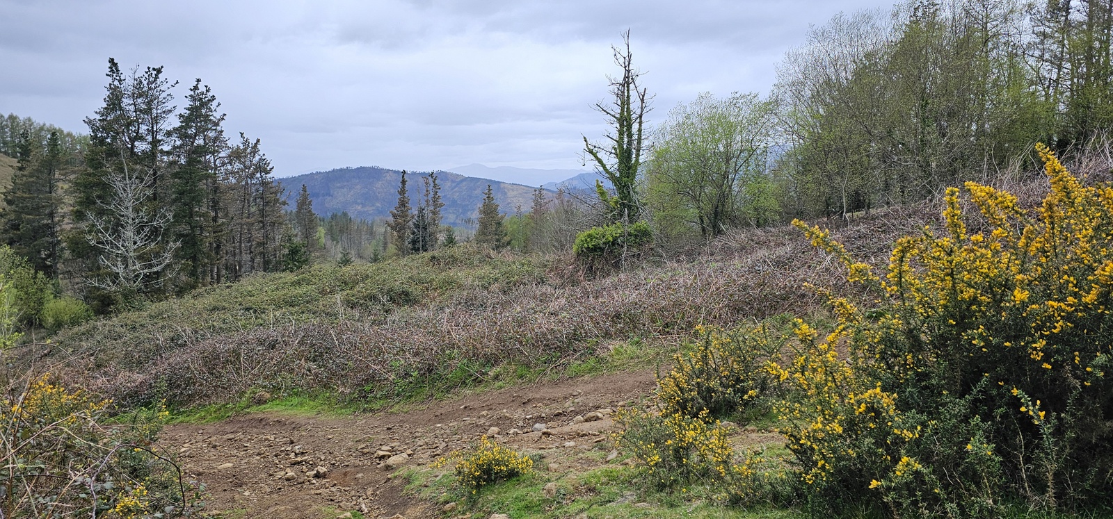 Eibarko sozialistek 1934an jasotako Tomas Meabe aterpetxearen hondarrak Kalamuan (Eibar, Elgoibar eta Markina Xemein artean). 