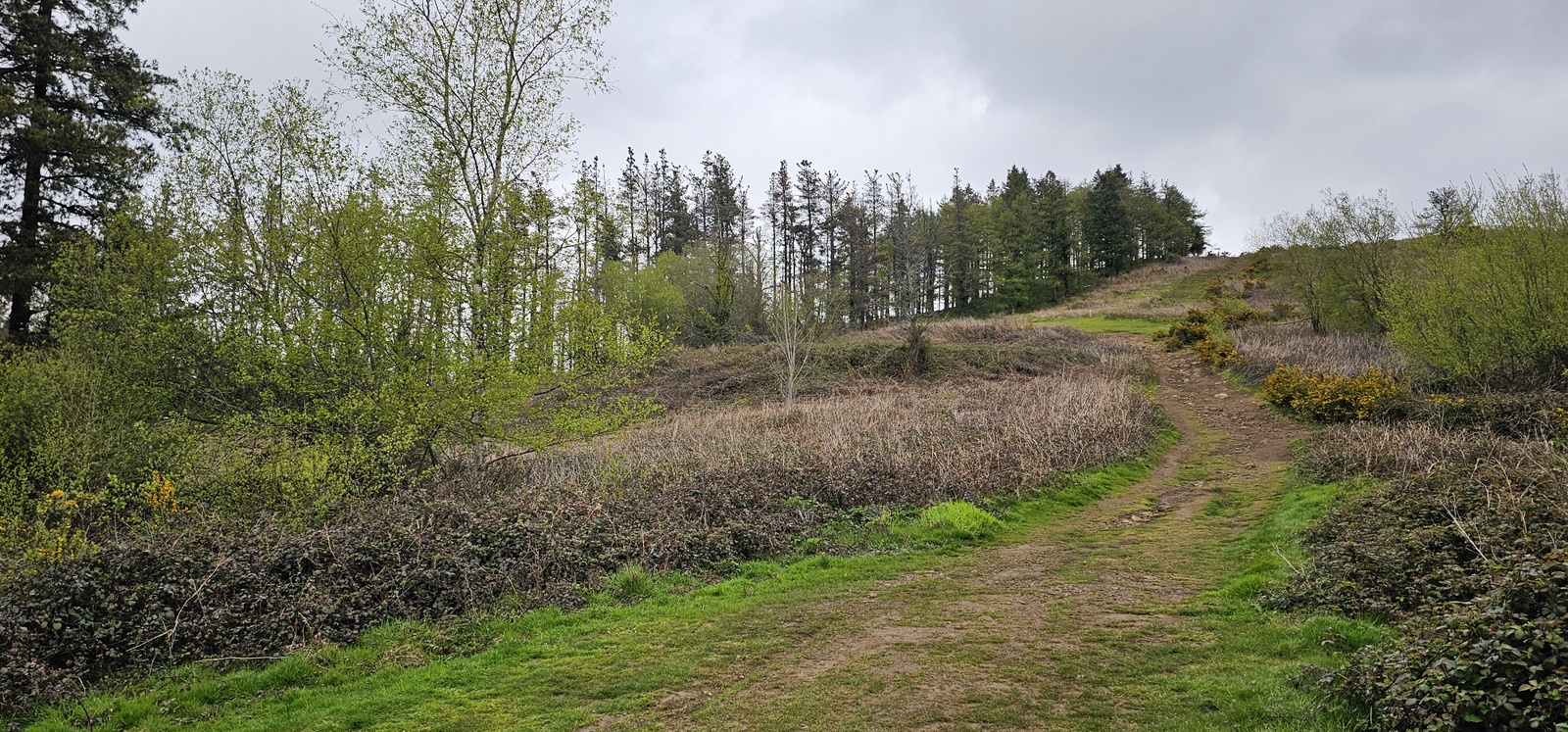 Eibarko sozialistek 1934an jasotako Tomas Meabe aterpetxearen hondarrak Kalamuan (Eibar, Elgoibar eta Markina Xemein artean). 