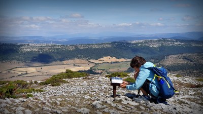 valderejo-vallegrull-araba (20).jpg valderejo-vallegrull-araba (20).jpg