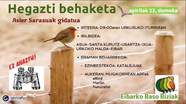 Irteera ornitologikoa Eibarren, Baso Biziak taldearen eskutik, txoritan lehenengo urratsak emateko gogoz
