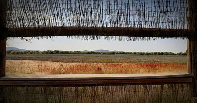 La Mancha hezea, txoritarako inguru berezi eta aberatsa