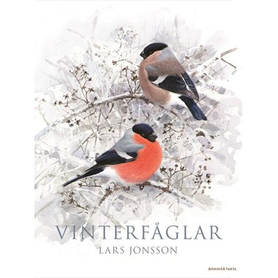 "Neguan ikusten ditudan txoriak", L. Jonsson