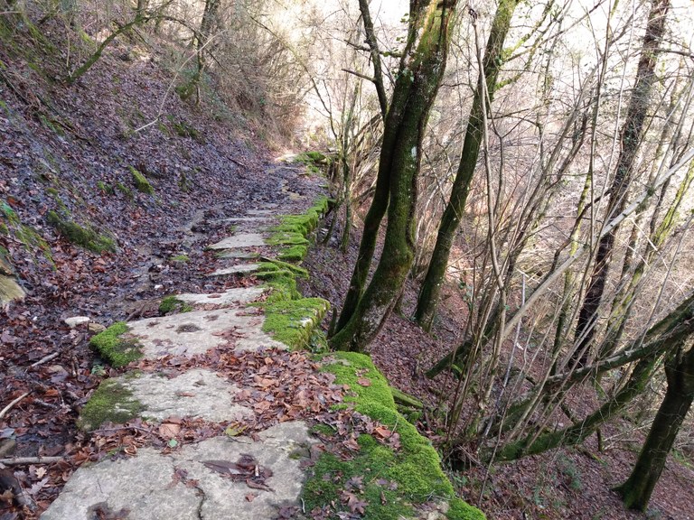 bidia Sosola eta Arrajola arteko harlozazko bidea
