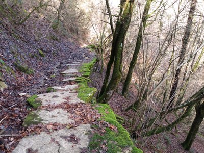 bidia Sosola eta Arrajola arteko harlozazko bidea