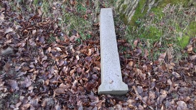 porlanezko mojoi berria