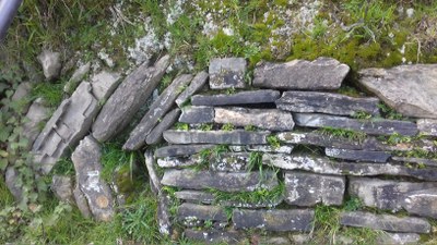 Mugartea (III). Ardoa eta artoa.