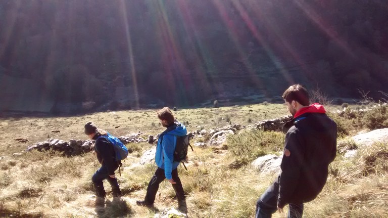 Sagarretako sakonera jeisten