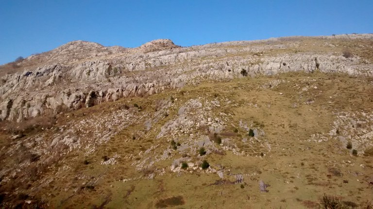 Sesiarteko antiklinala