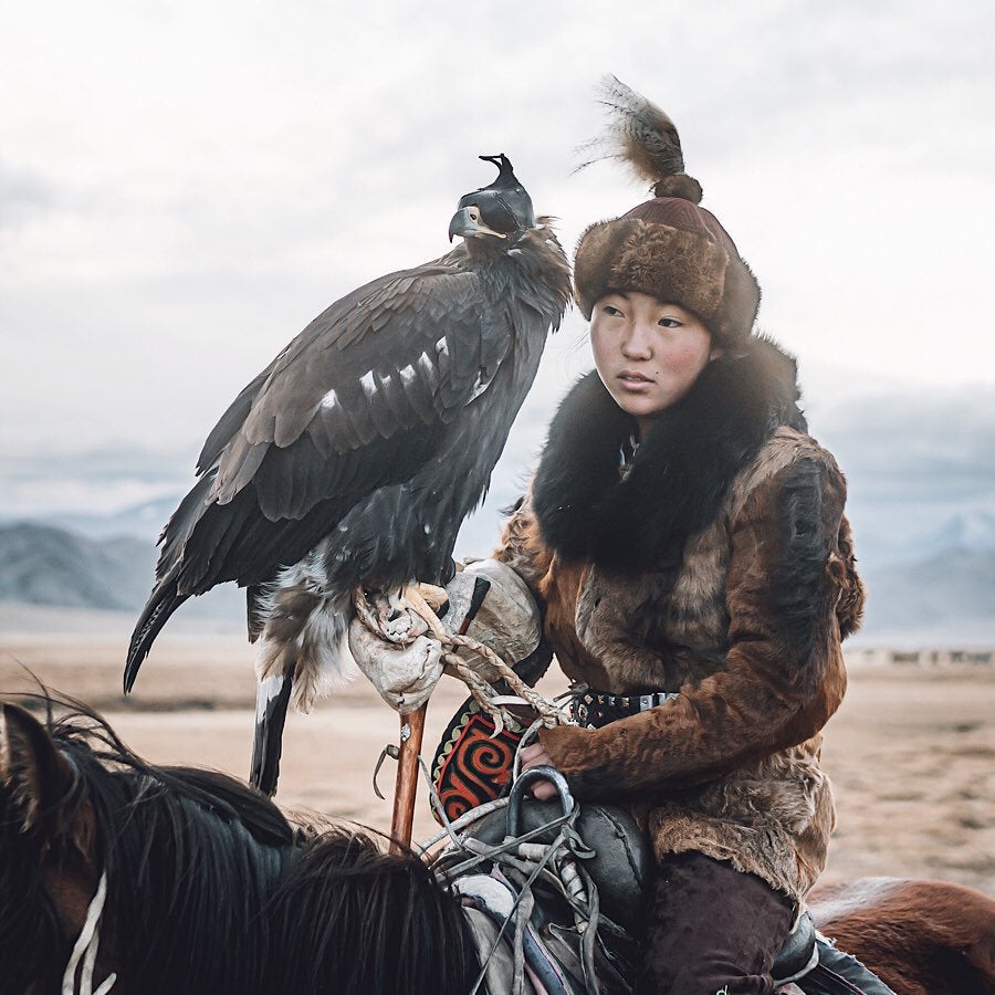 Zamanbol mongoliako zalduna