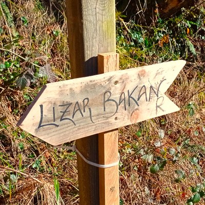 Lizarbakar ala Lizar bakan?