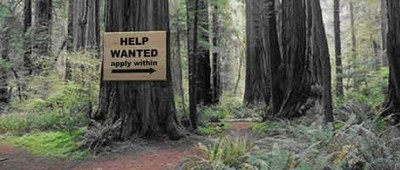 help wanted.jpg help wanted.jpg